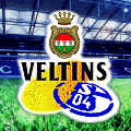 veltins